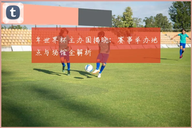 年世界杯主办国揭晓:赛事举办地点与场馆全解析