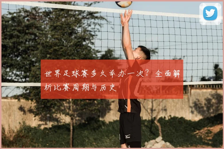 世界足球赛多久举办一次?全面解析比赛周期与历史